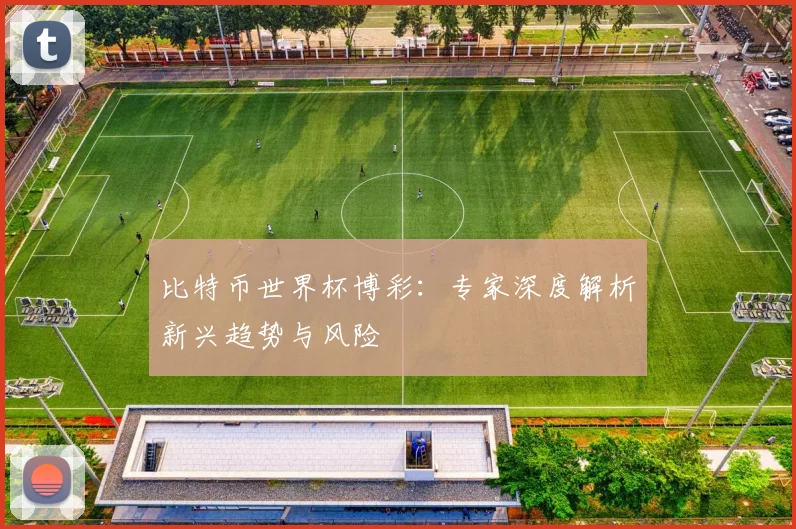 比特币世界杯博彩：专家深度解析新兴趋势与风险