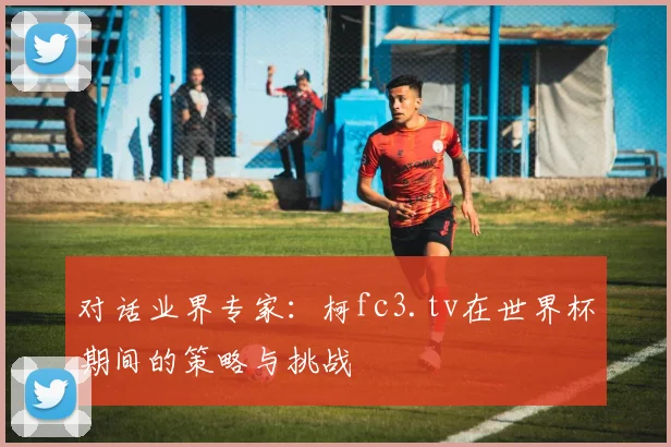 对话业界专家：柯fc3.tv在世界杯期间的策略与挑战