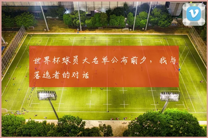世界杯球员大名单公布前夕，我与落选者的对话