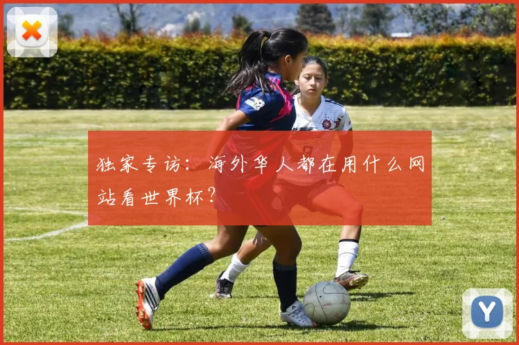 独家专访：海外华人都在用什么网站看世界杯？