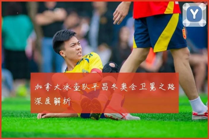 加拿大冰壶队平昌冬奥会卫冕之路深度解析