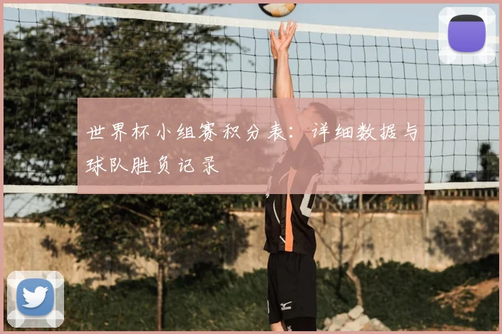 世界杯小组赛积分表：详细数据与球队胜负记录