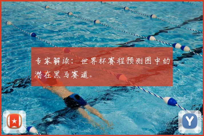 专家解读：世界杯赛程预测图中的潜在黑马赛道。