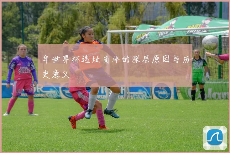 年世界杯选址南非的深层原因与历史意义