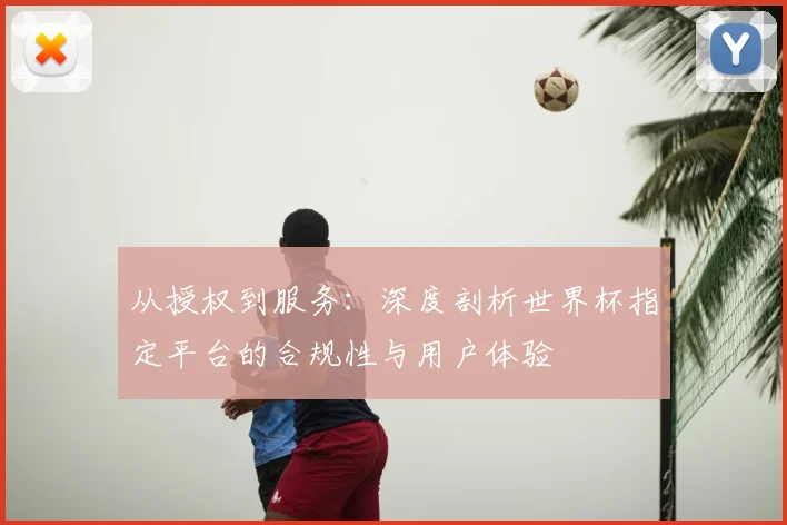 从授权到服务：深度剖析世界杯指定平台的合规性与用户体验